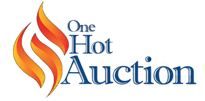 One Hot Auction